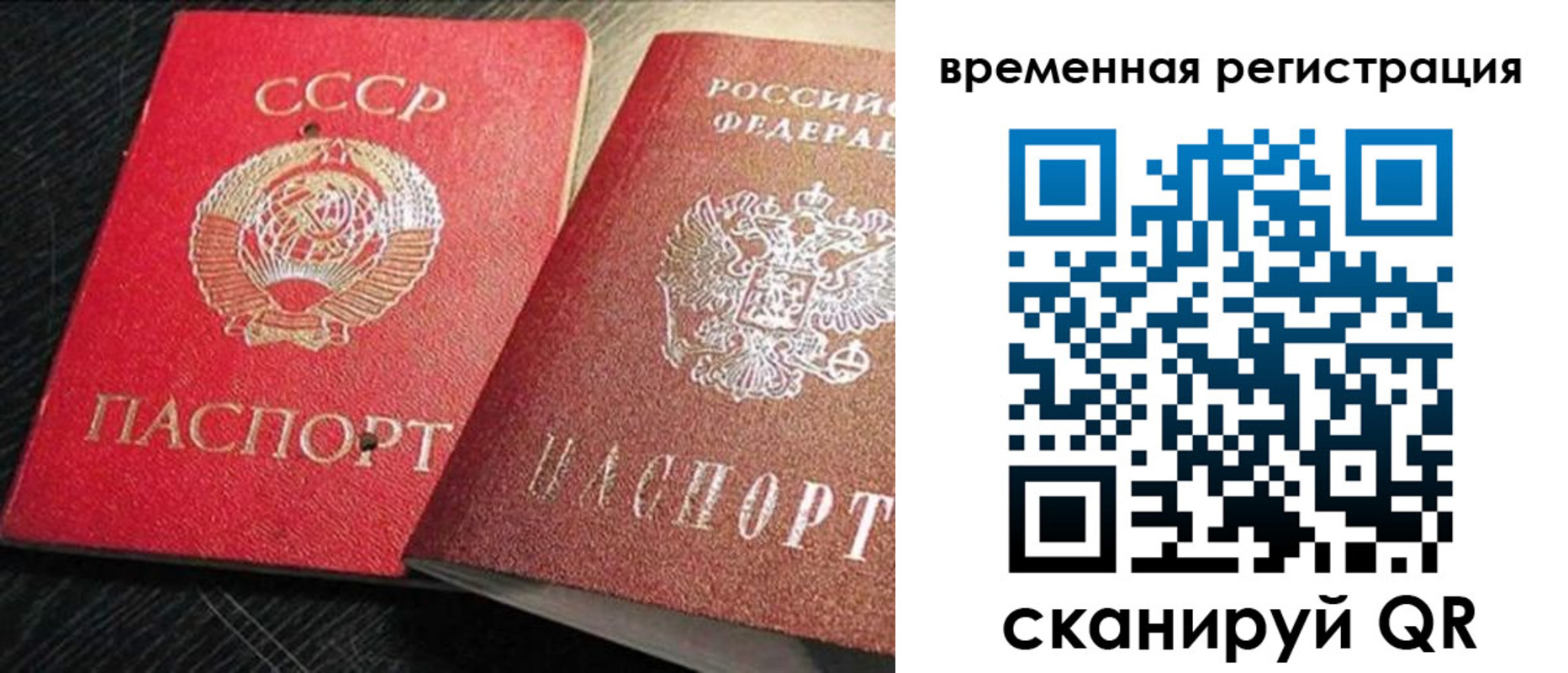 временная регистрация в квартире в Курской области