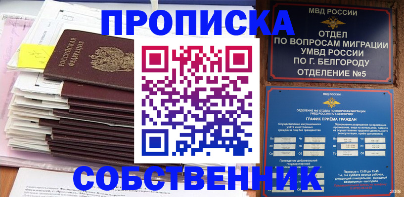 прописка законно в Курской области