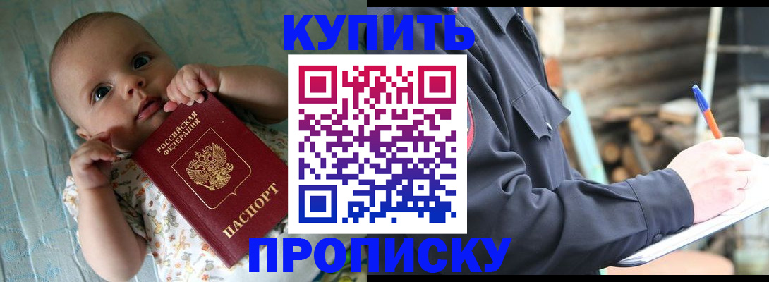 прописка поиск в Курской области