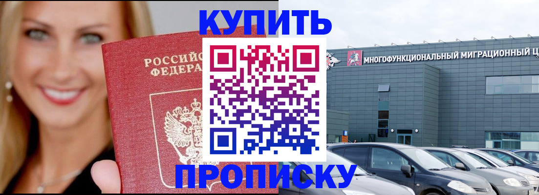 прописка поиск в Курской области